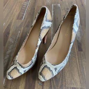 Boutique 9 - Snake Print Heels Pumps - Size Women’s 8